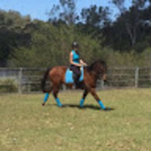 Meet your Posher, Caitlin